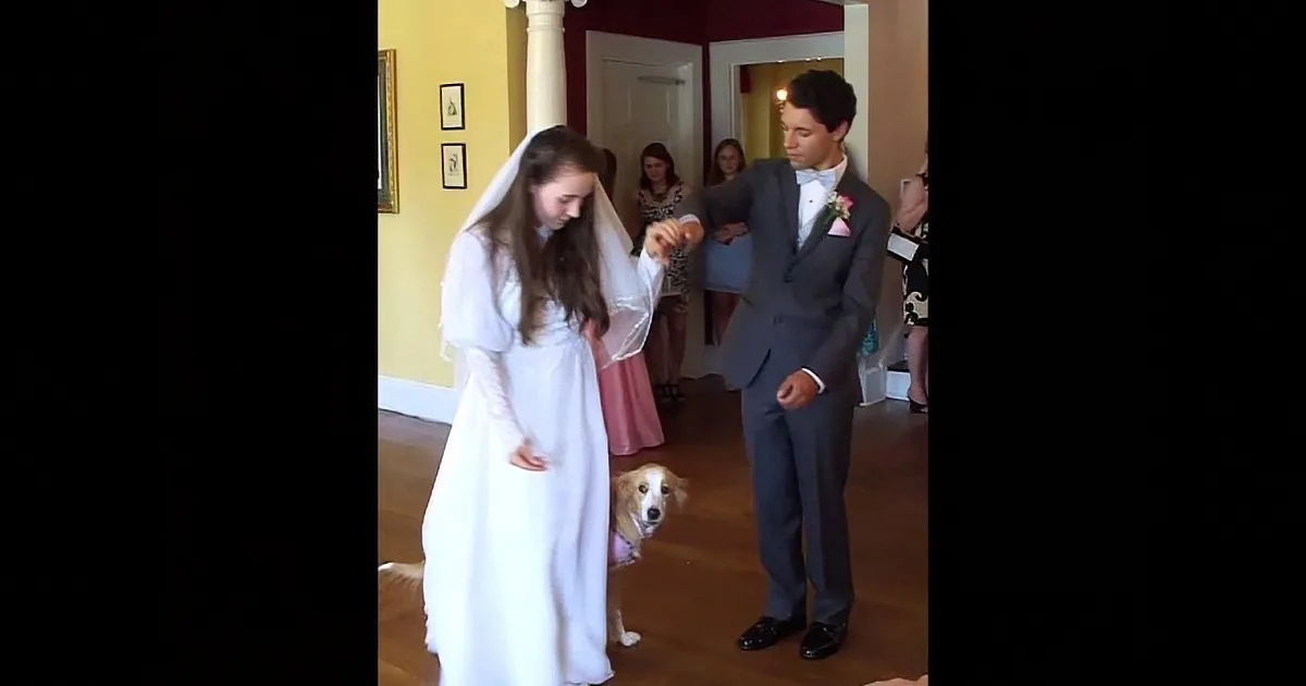 A bride and groom hold hands, surrounded by guests and a dog, in a warmly lit room.
