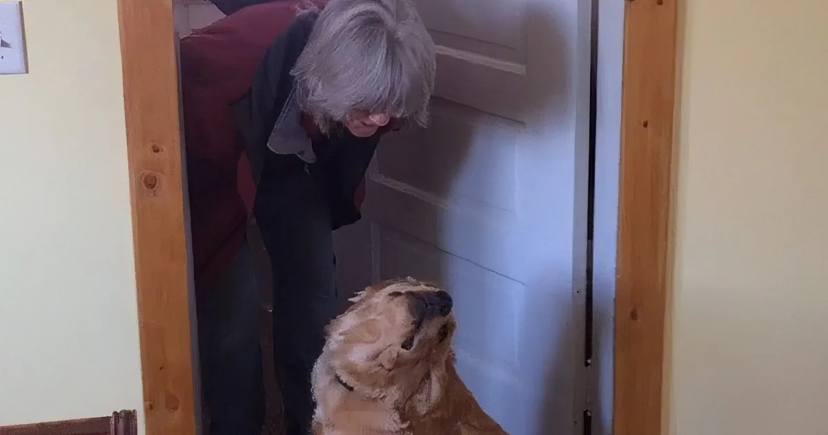 Dog Wants Nothing to Do With Mom''s Kisses! Aww!