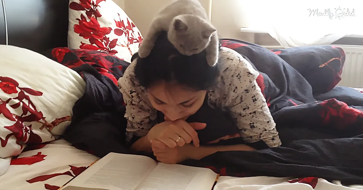 Funny Cat Sits on Woman''s Head While She''s Reading