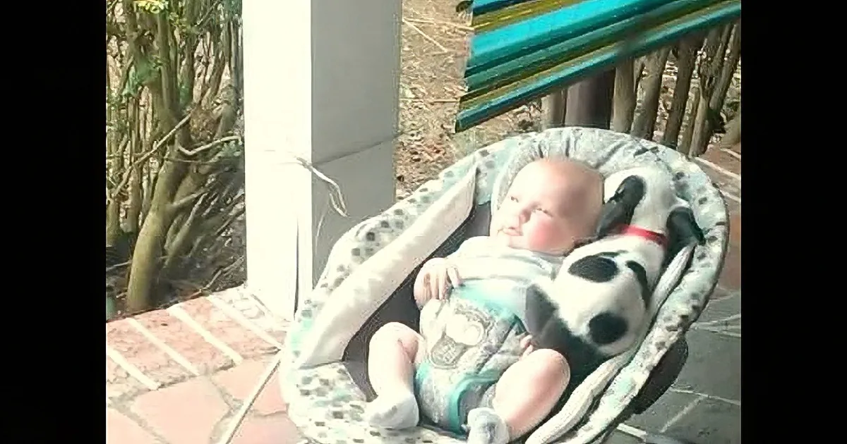 This Tiny Puppy Cuddling up to a Newborn Baby Is Just the Cutest!