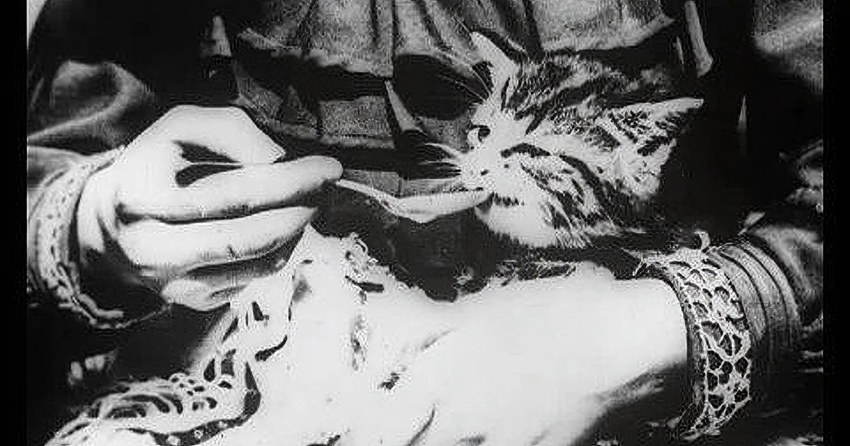 Want to Watch the First Ever Cat Video? (Hint: It's Over a 100 Years Old!) Wow!