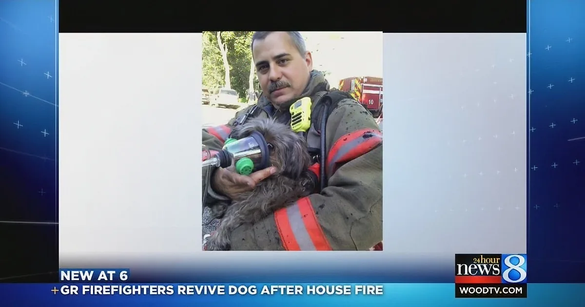 Hero Fire Fighter Saves Helpless Dog in House Fire!