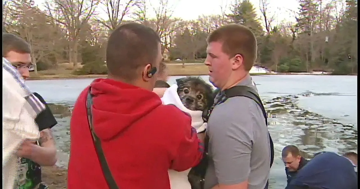 Dog Saved From Ice by Three Fire Fighters in a Small Boat!
