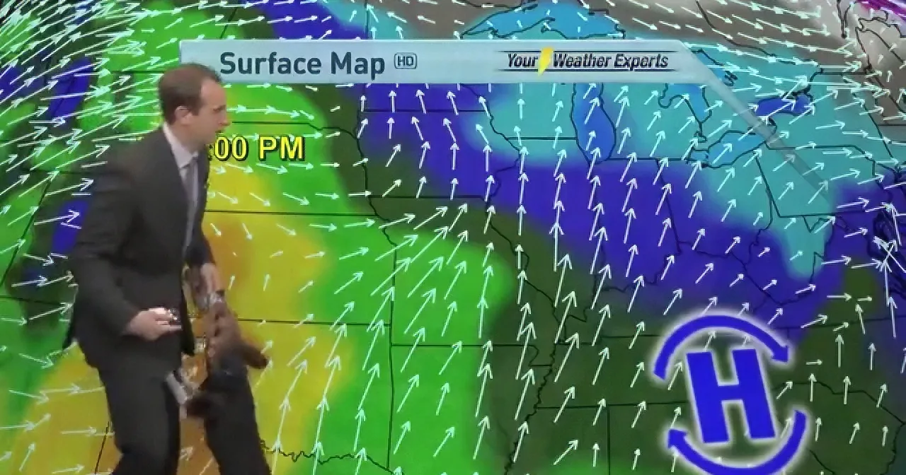 Weatherman Gets Surprised by a Special Friend! LOL!