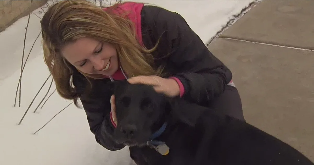 Adopted Dog Alerts Police Officer, Helps Save Owner''s Life! Wow!
