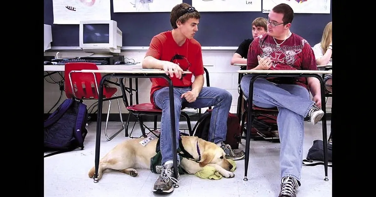 How a Service Dog Helps to Better the Life of One Disabled Boy! OMG!