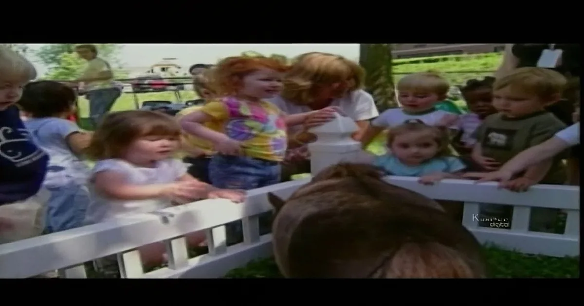 Children gather around a white fence, feeding a small brown animal, possibly a goat, in a grassy outdoor setting.