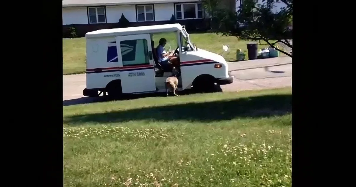 Every Day the Mail Worker Does This to His Dog. Today He Finally Caught It in on a Video Camera!