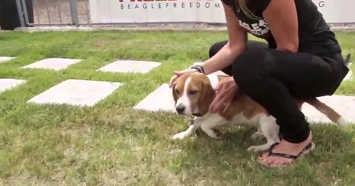 These Animals Have Never Seen the Light of Day... Until Now! OMG!