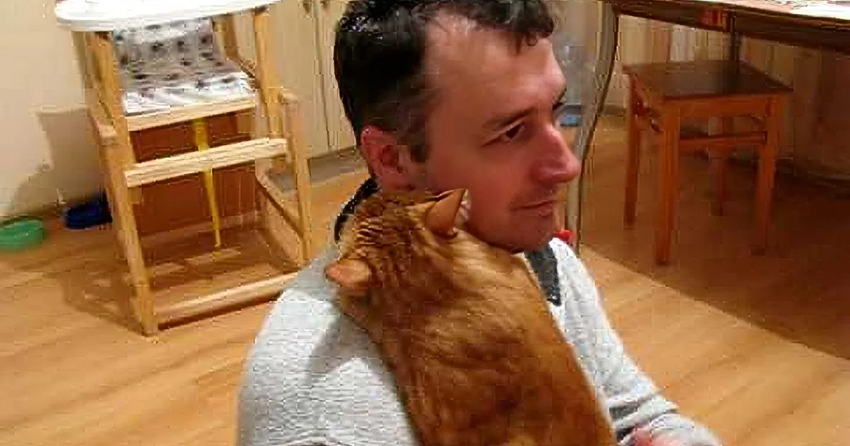 A man with a ginger cat perched on his shoulder in a cozy indoor setting.