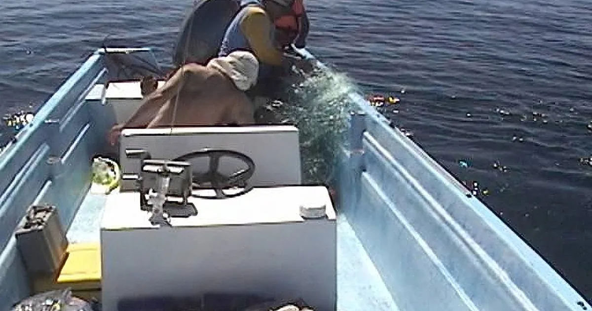 He Swam Towards That Helpless Whale With a Knife. When He Does This? I Was in Tears!