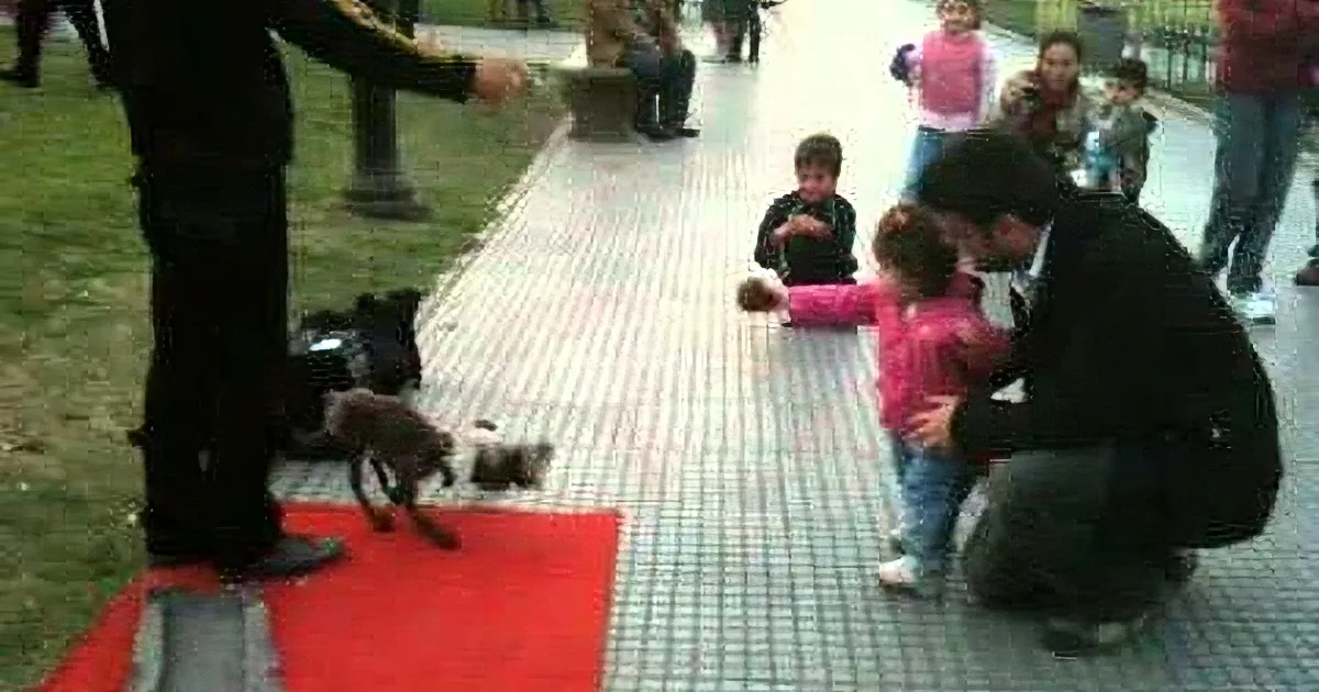 Little Girl Wants to Play With That Dog. Take a Closer Look... That Is Not a Dog! My Goodness!