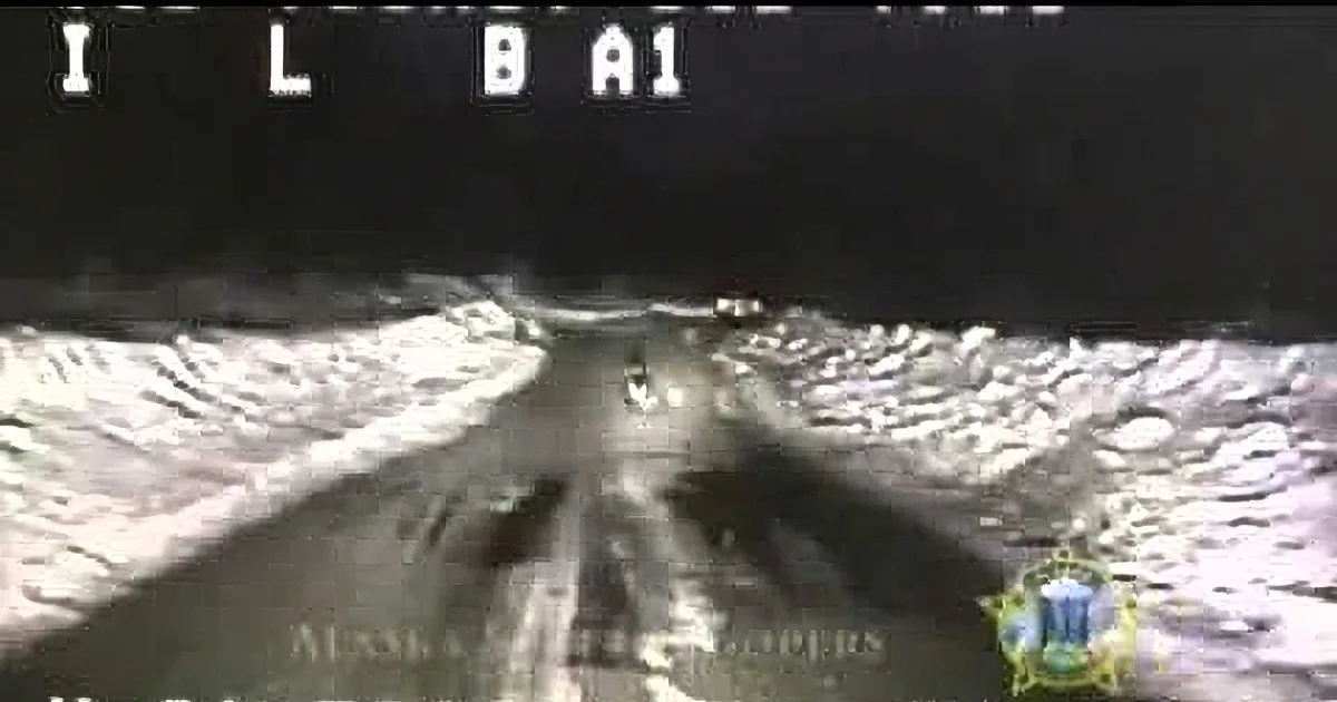 When Police Officers Followed a Dog in the Road, They Never Thought It Would Lead to This!