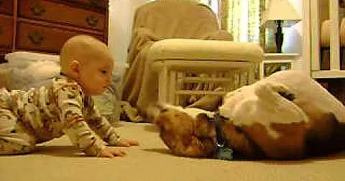 A baby in camouflage pajamas is crawling on a carpet, reaching out towards a small dog.