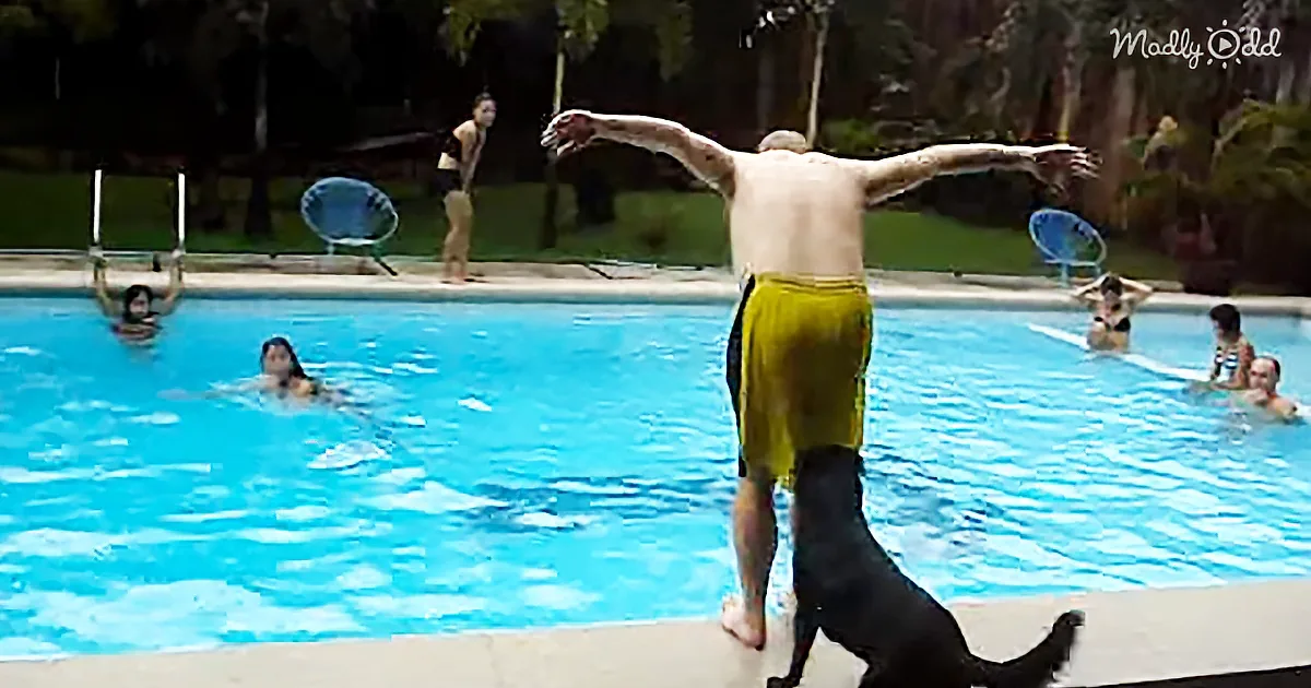 A man in yellow shorts stands at the edge of a pool, arms outstretched, with a dog beside him.