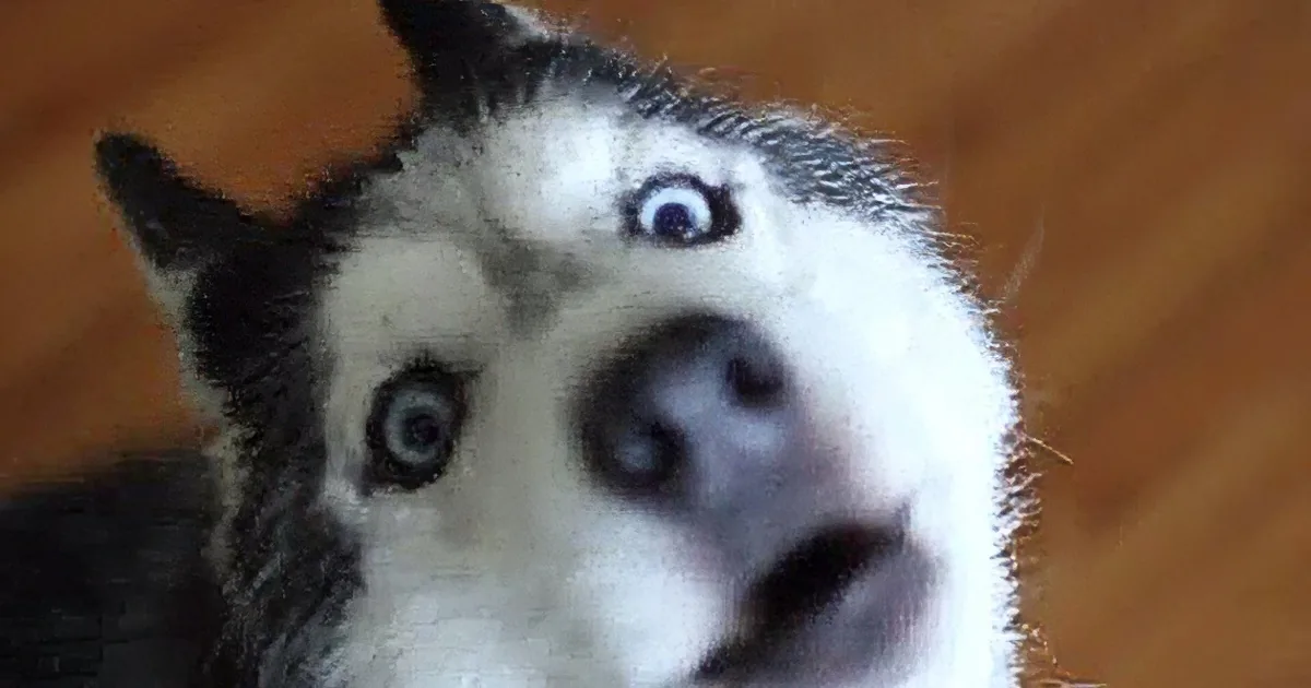 When It''s Time for Breakfast This Dog Does Something I Never Fathomed Possible!