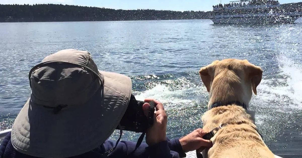 As Soon as the Dog Noticed This in the Water, He Nearly Jumped off the Boat. Whoa!