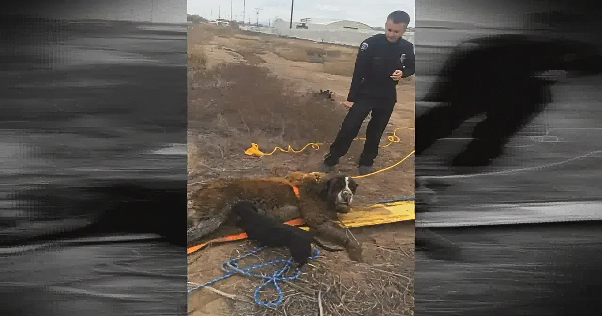 When His Dog Started Acting Weird He Knew Something Was Wrong. Moments Later? This Happened!