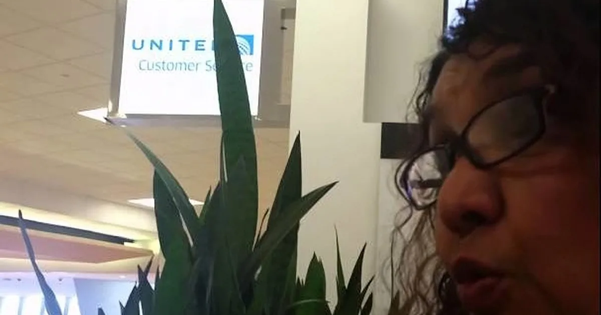 A person with curly hair and glasses is in front of a "United Customer Service" sign with a large green plant nearby.