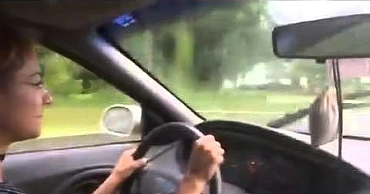 Never in My Life Have I Seen Someone Fix a Broken Windshield Wiper Quite Like This. LOL!