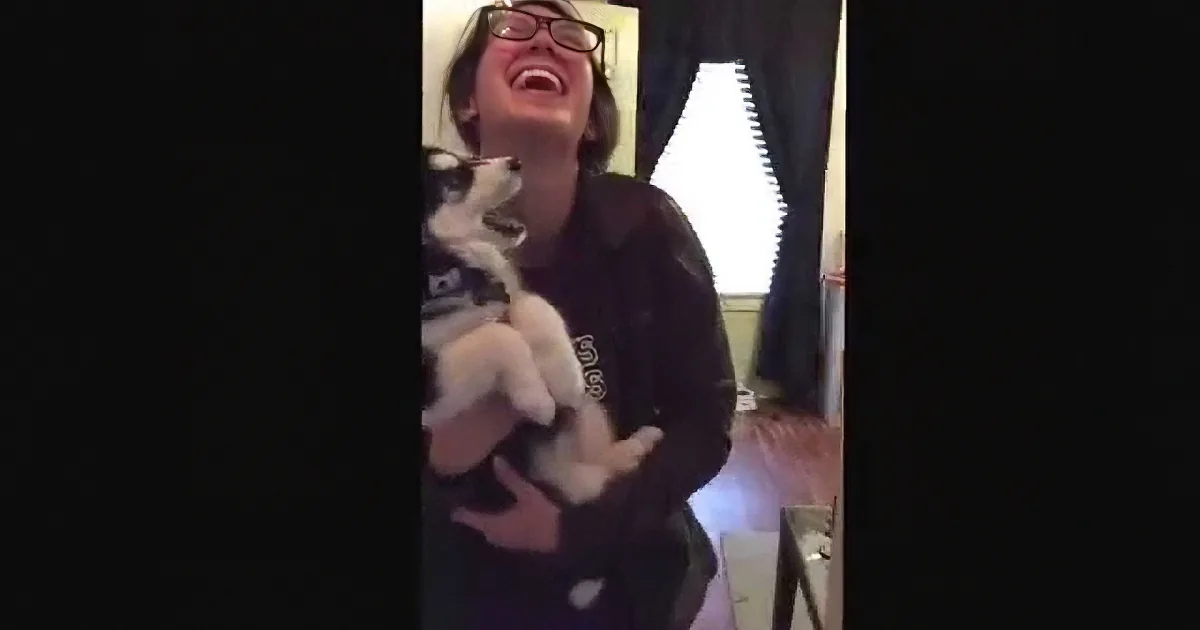 A person is laughing while holding a small dog in a room with a lamp and curtains.