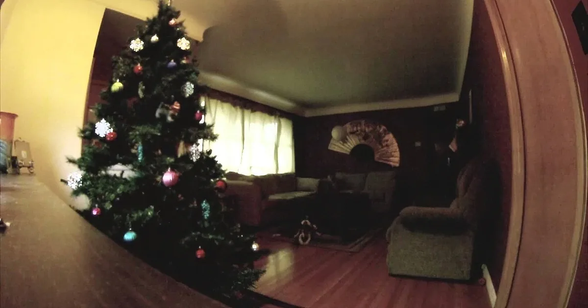 They Set up a Hidden Camera to Watch Their Dog While at Work. Look What It Captured!