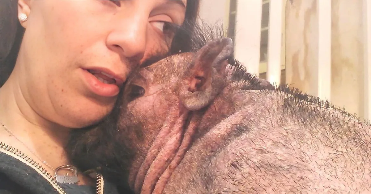 A woman holds a small, dark-furred animal, possibly a bat, close to her face.
