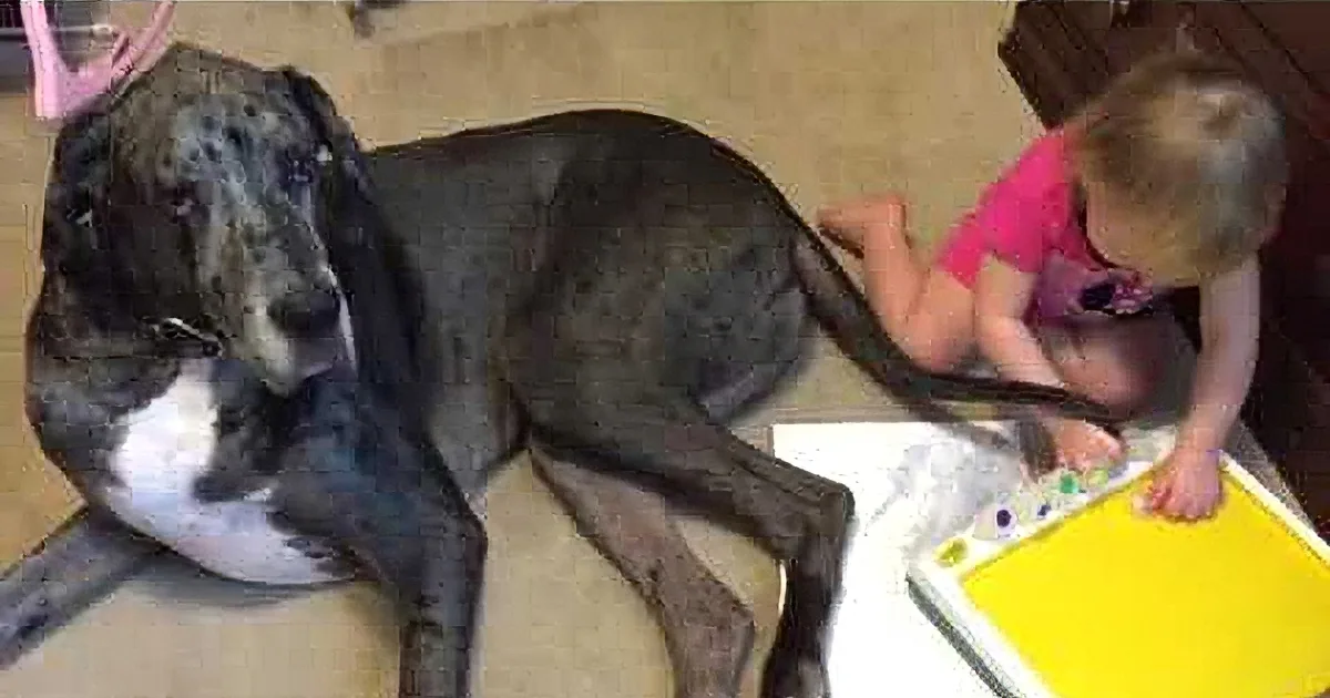 This Little Toddler Is Painting Next to Her Dog. but Wait Till You See What She''s Painting With! LOL!