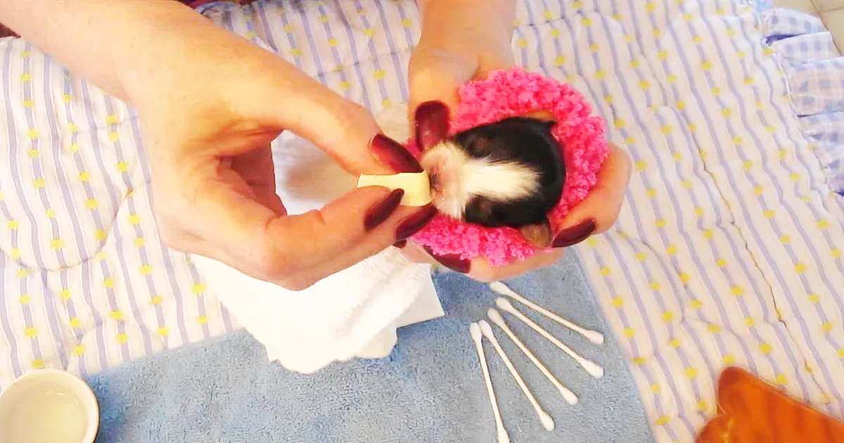 She Was Rejected by Her Siblings & Getting Worse Over Time. When This Happened? I''m in Tears!