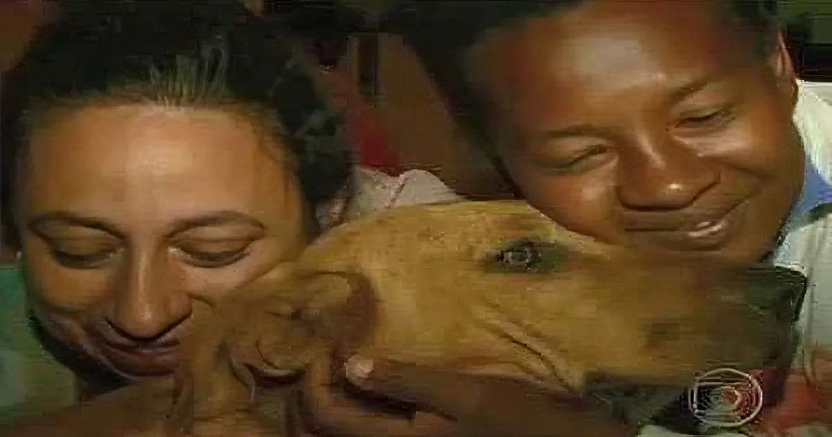 This Dog Walked 4 Miles to Get This Bag Every Day. What''s Inside Will Leave You in Tears!