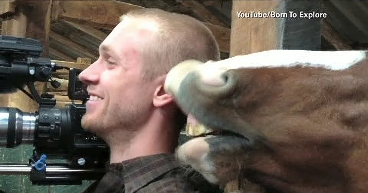 When He Started Filming the Interview, He Had No Idea the Horse Behind Him Would Do This!
