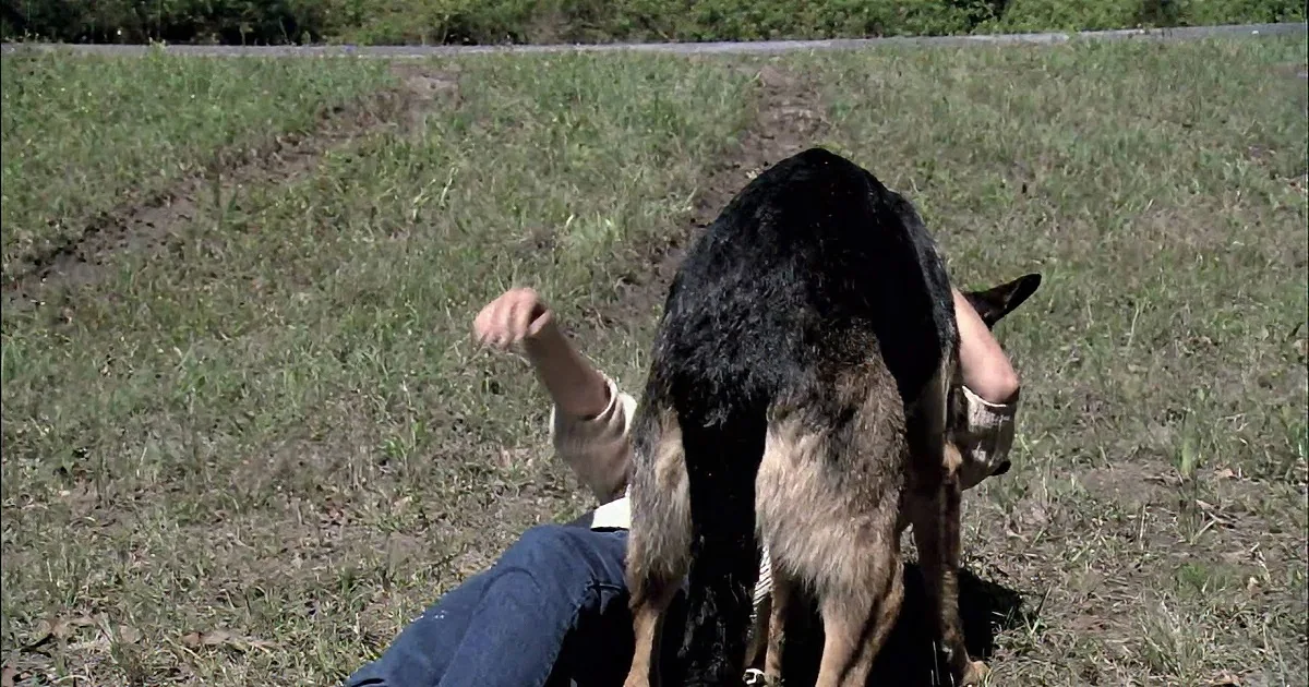 A person and a dog are lying on a grassy field with a road and trees in the background.