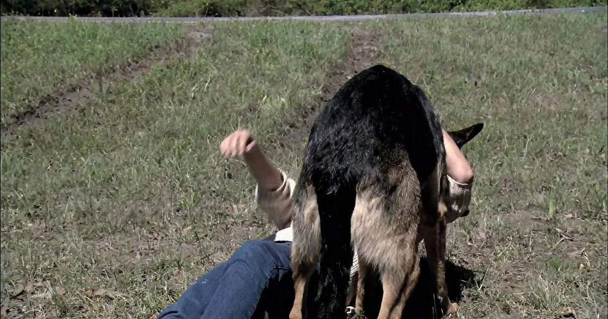 A person and a dog are lying on a grassy field, with the dog partially covering the person.