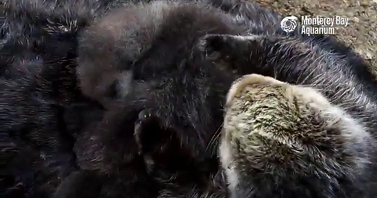 Having a Bad Day? You Need to Watch This!