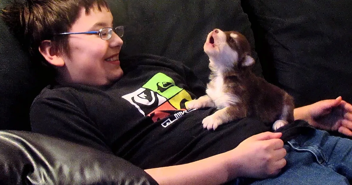 I Didn''t Think This Puppy Could Get Any More Adorable. Then He Did This!