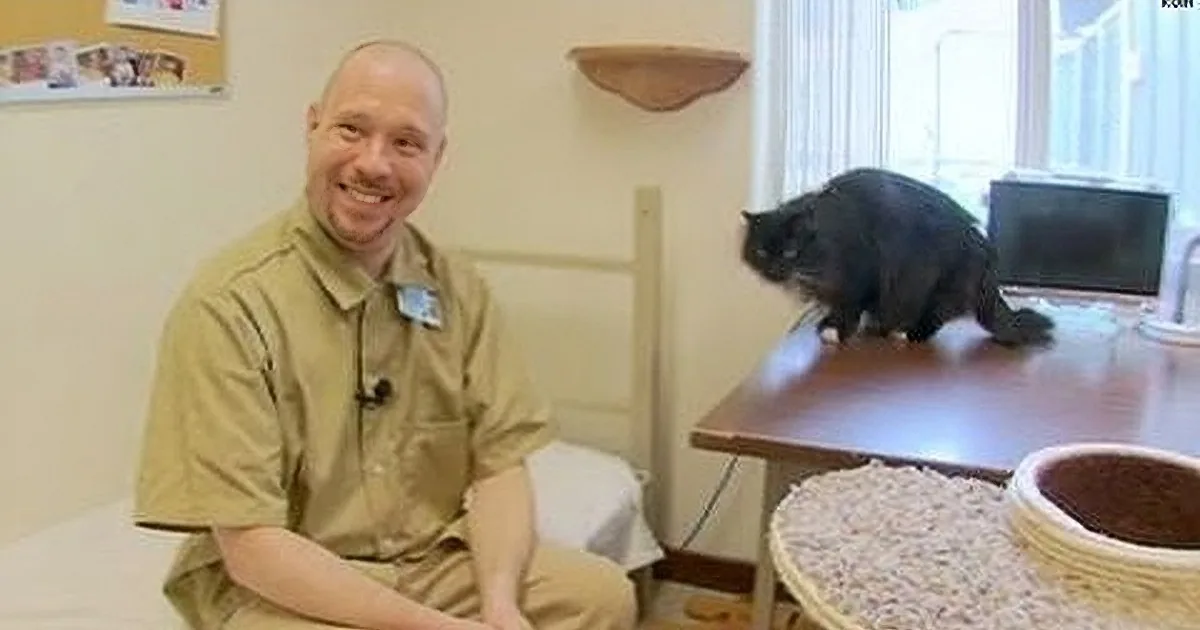 Watch as These Rescued Cats and Prison Inmates Give Each Other a Second Chance! Amazing!