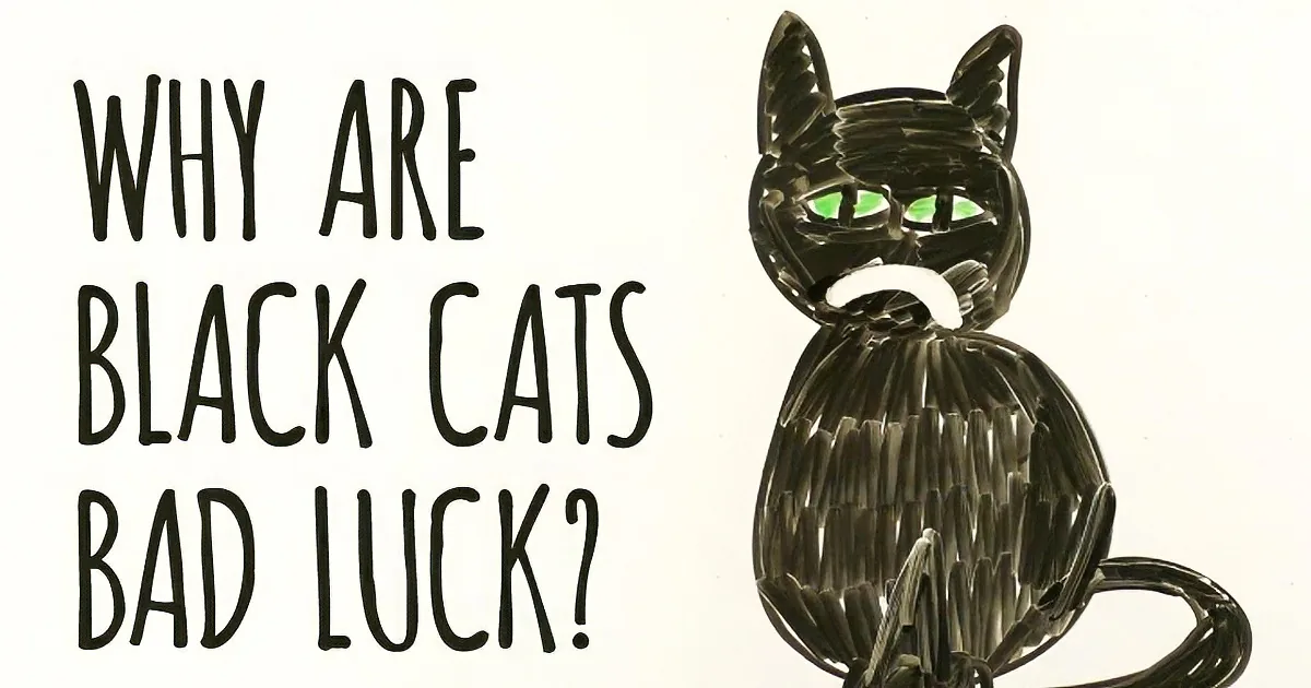 A black cat with green eyes sits beside text asking why black cats are considered bad luck.
