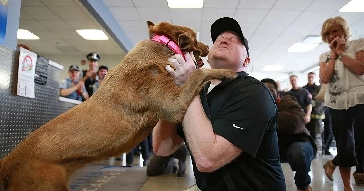 This Dog Jumps on a Man at the Airport. When I Saw Why? OMG!