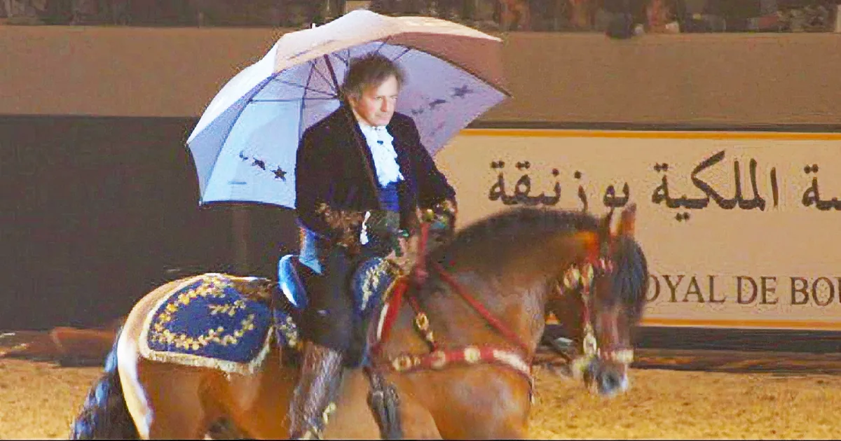 This Horse Wows the Crowd Dancing to ''Singing in the Rain!''