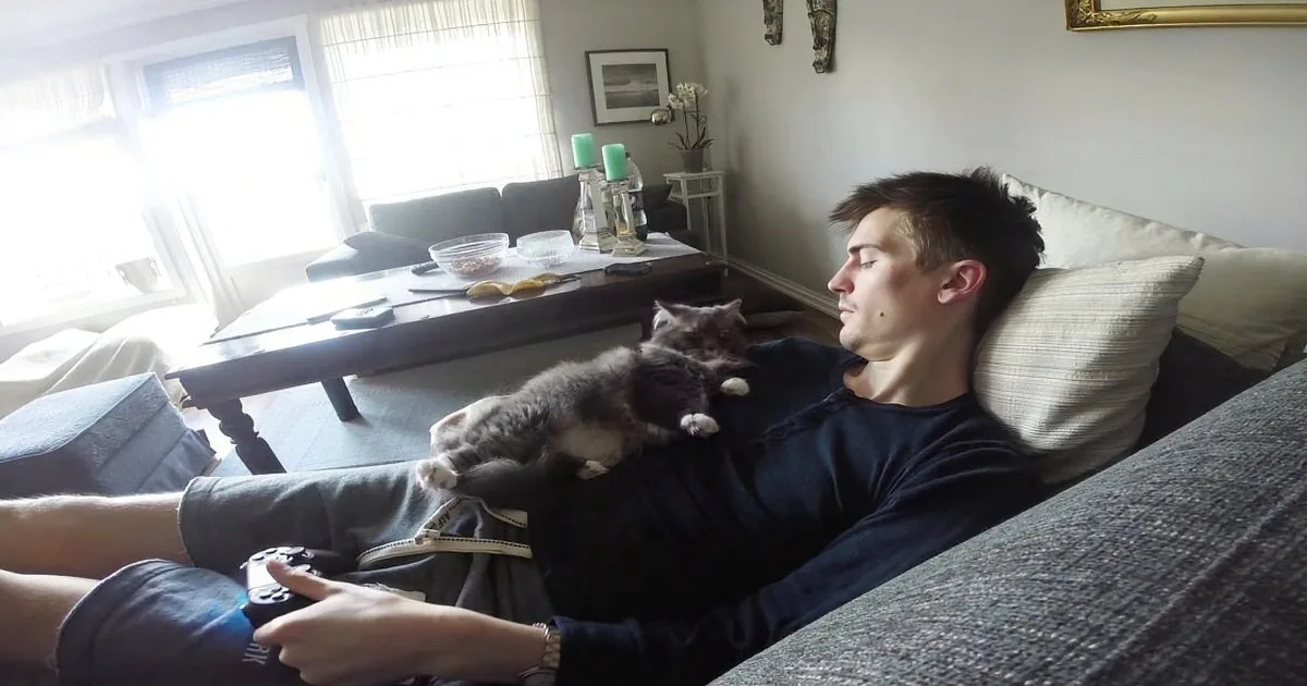 Clingy Kitty Won''t Let Dad Play Video Games by Himself! Aww!