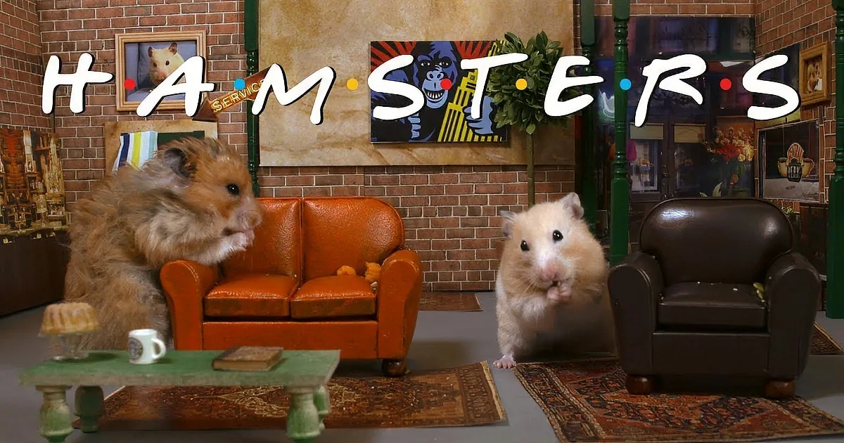 The Friends Theme Song Done Hamster Style!