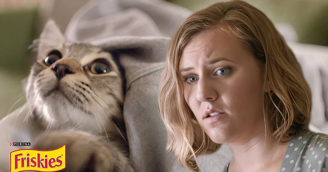 This Hilarious Video Highlights the Plight of First Time Cat Owners!