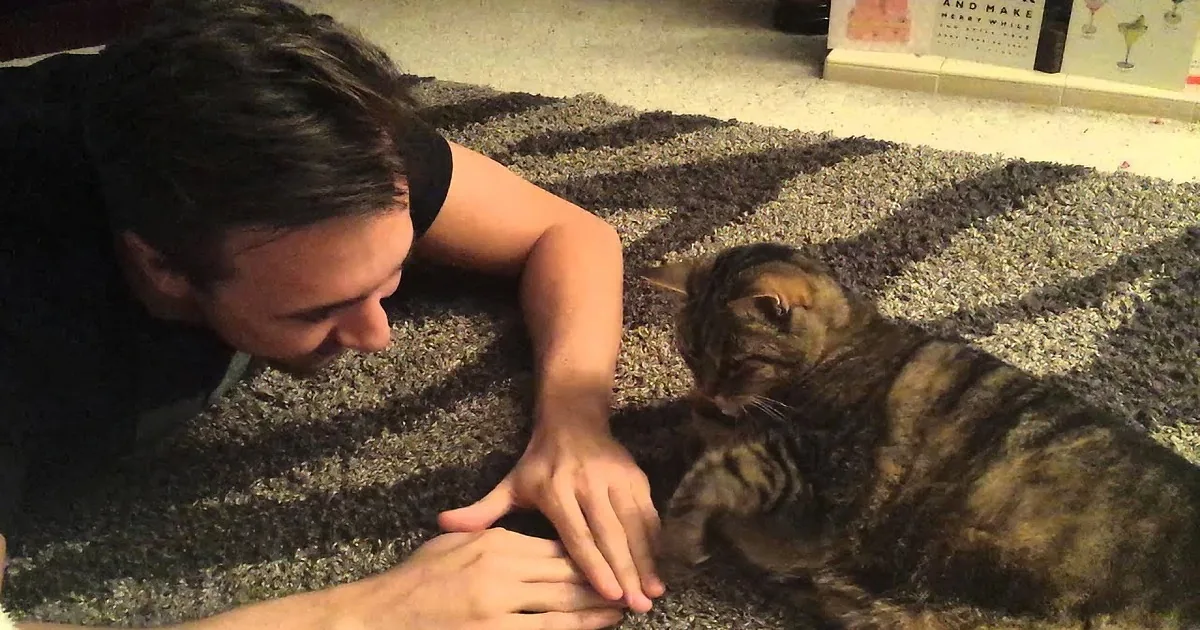 Watch This Kitty Playing ''One Potato, Two Potato'' With His Human Dad! LOL!
