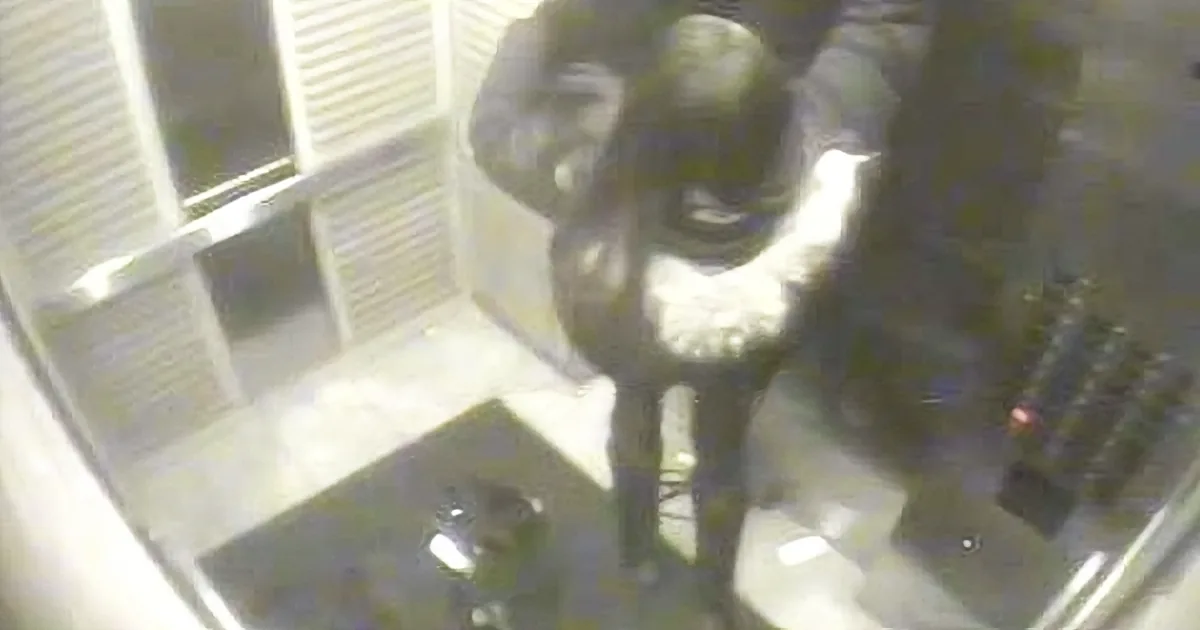 Girl Was in an Elevator With Her Dogs - Its Very Surprising What Happens Next!