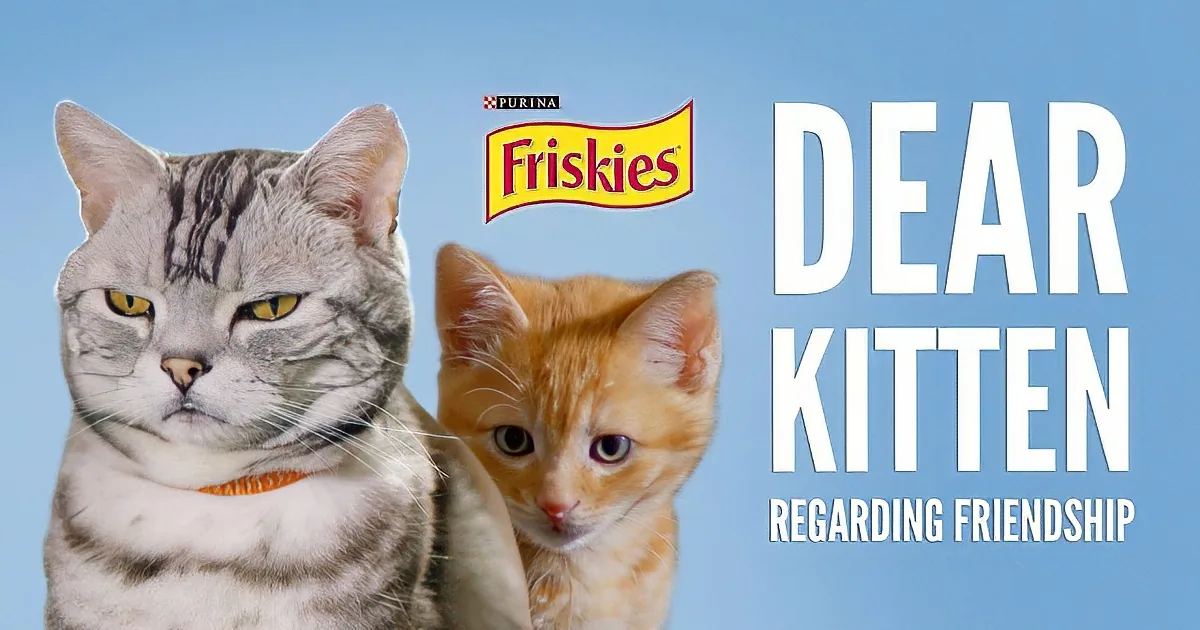 Two cats, one gray and one orange, with Friskies logo and text "Dear Kitten Regarding Friendship."