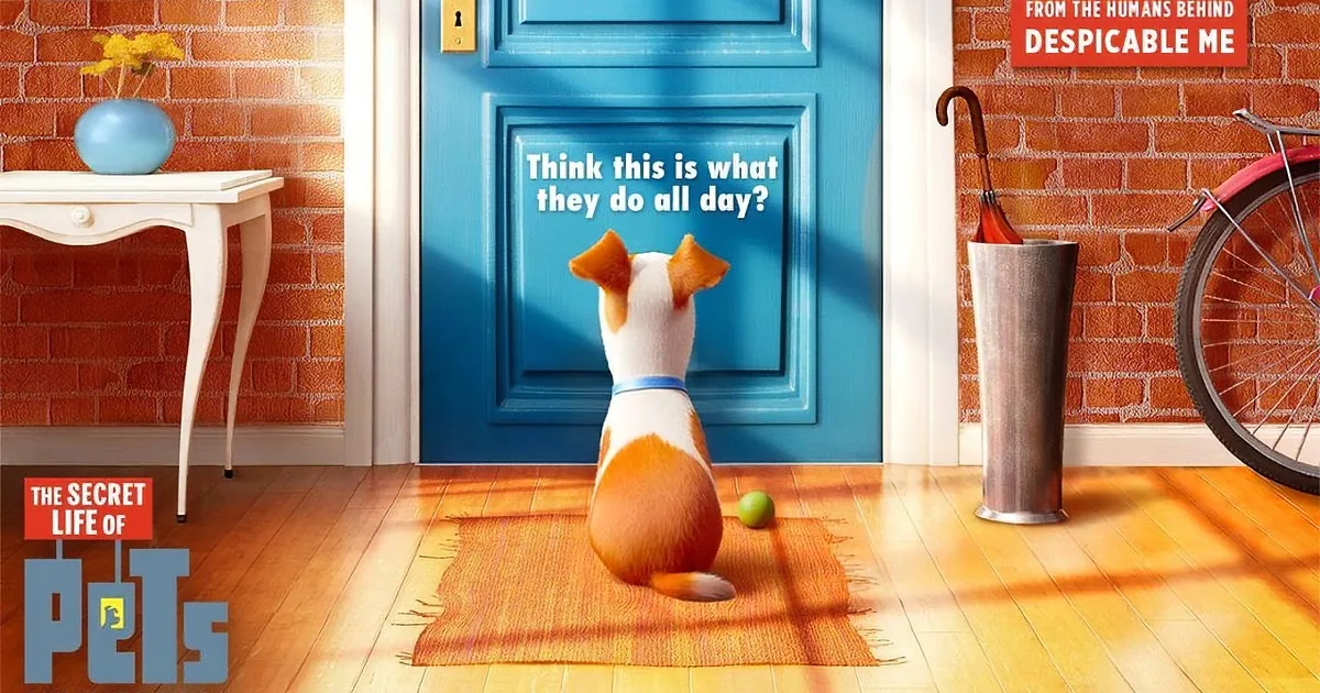 This Is the Movie All Cat Lovers (And All Those Who Have Pets) Must Watch!