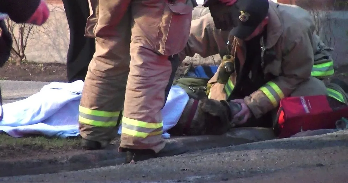 Firefighters in protective gear attend to a person on the ground, with medical equipment nearby.