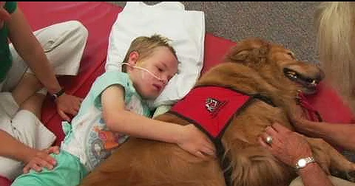 A child in a hospital bed, wearing a hospital gown, is lying down and petting a therapy dog wearing a red vest.