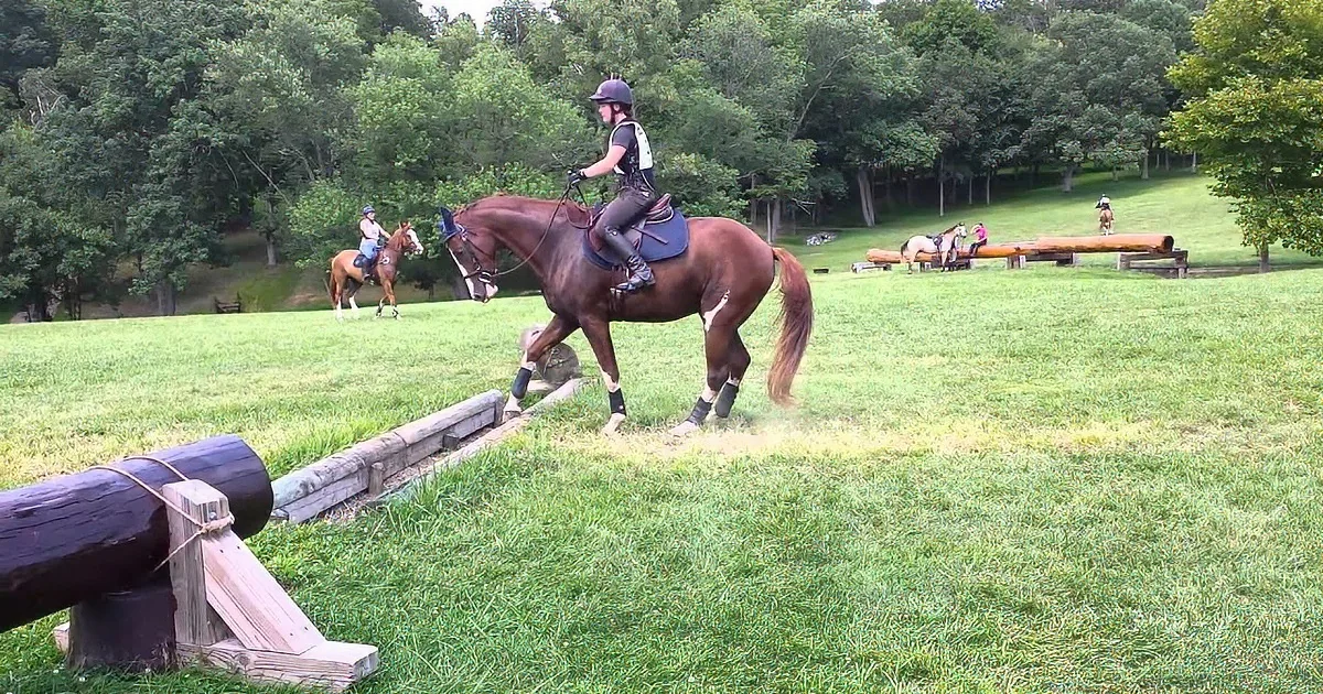 This Horse Gives His Best Effort to Jump Over Small Trench.