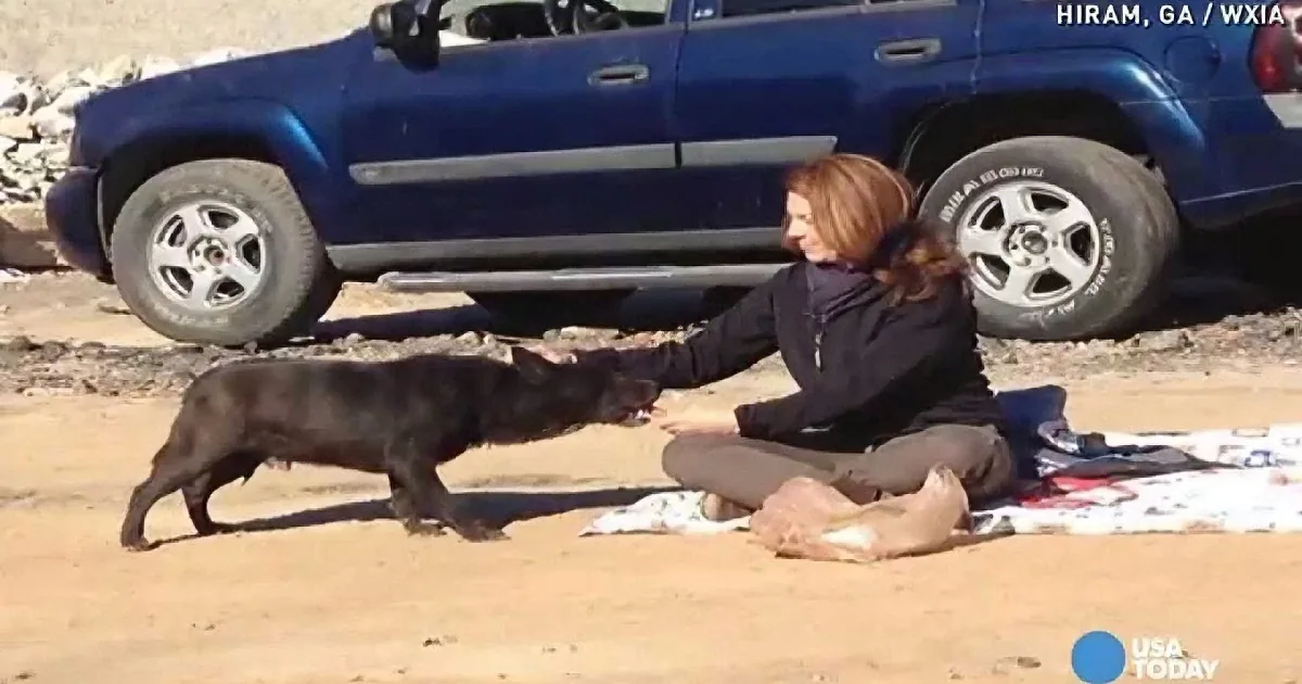 A woman sits on a blanket, gently petting a black dog on a sandy beach near a blue SUV.
